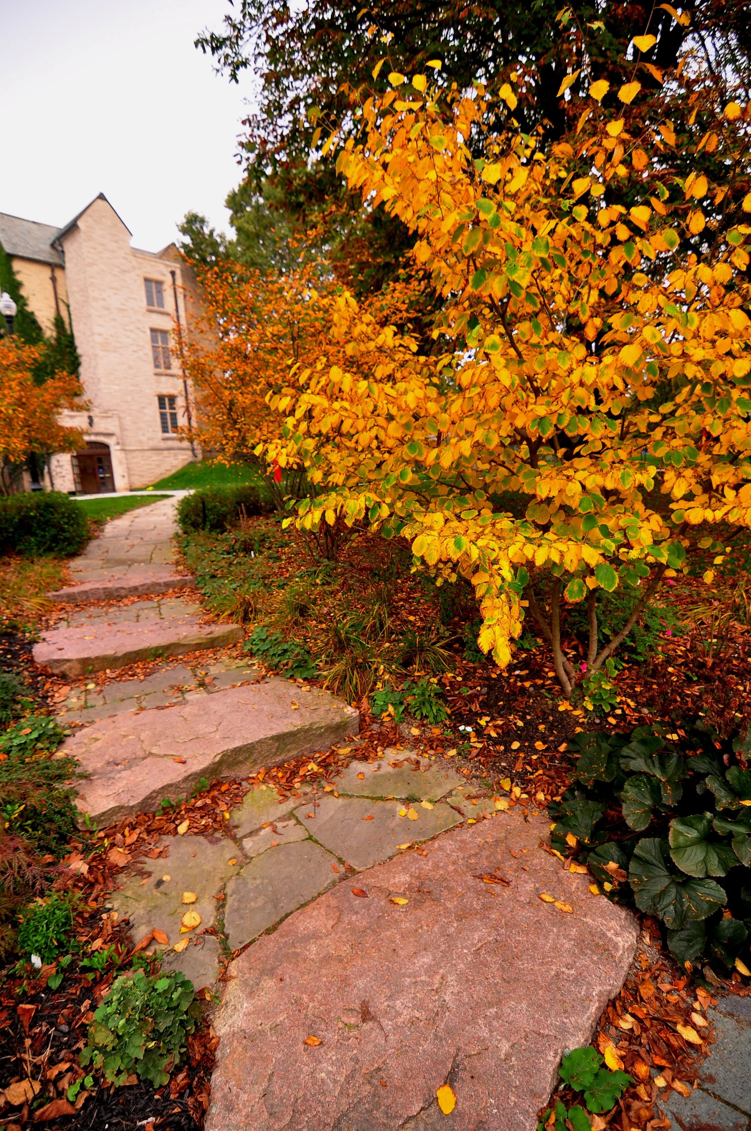 Landscapes & Architecture