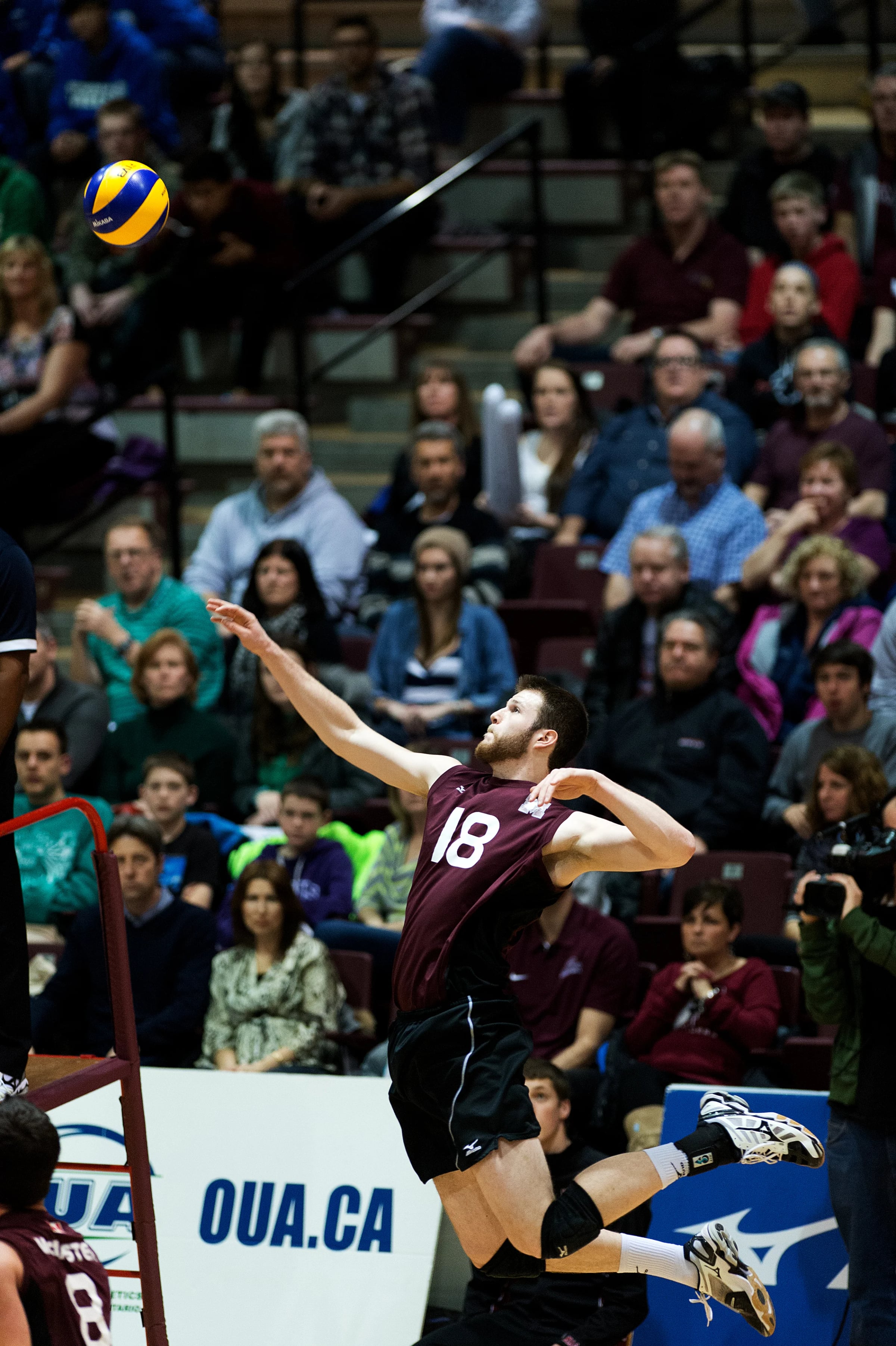 Volleyball